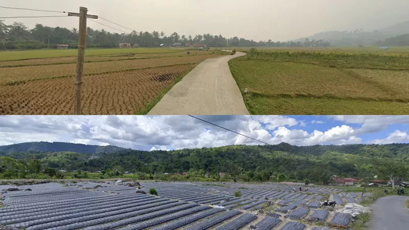 Mountain Basin Fields