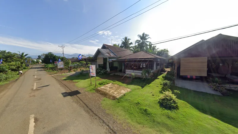 Bengkulu Moss