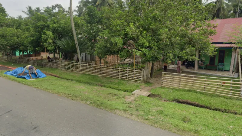 Extended Bamboo Fences