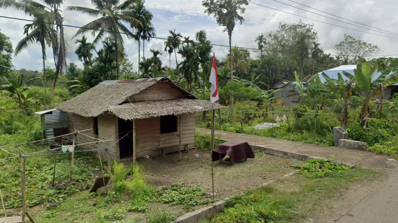 Tatched Roofs Canopies