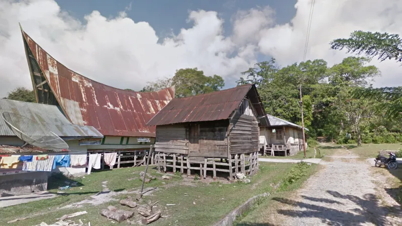 Palm Wood Houses