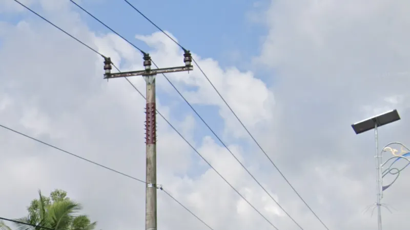 Bintan Pole Spikes